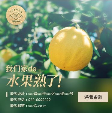 大方果园果林小程序开发